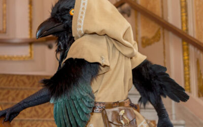 Mai kedvencünk: Kenku